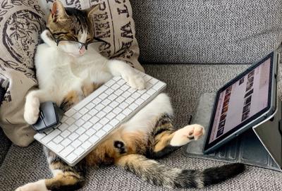 /blog/authenticated-serverless-crud-netlify-functions-faunadb-part-3